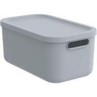 AUFBEWAHRUNGSBOX     - Pastellblau, Basics, Kunststoff (23.5/17.7/39.5cm) - Rotho