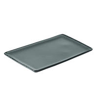 SPEISETELLER RAW  - Waldgrün, Basics, Keramik (32/20/2cm) - Aida