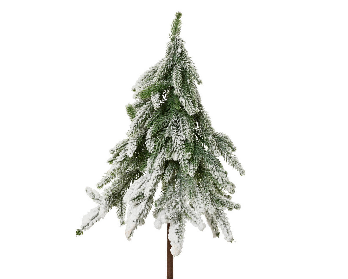 BOŽIĆNI BOR       - Basics (20/20/50cm)