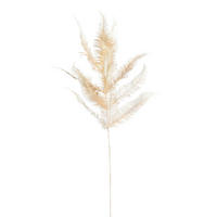 LIST KANARSKE PALME     110/22/13 cm         - zlatna, Osnovno (110/22/13cm)