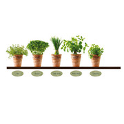 STENSKA NALEPKA DS-AU1018 - večbarvno, Konvencionalno, umetna masa (25/35cm) - EUROGRAPHICS