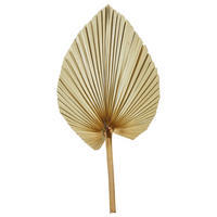 TROCKENBLUME  - Naturfarben, Basics (48cm)