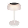 SOLÁRNÍ SVÍTIDLO, 18/29,1 cm - bílá, Basics, kov/plast (18/29,1cm) - Ambia Garden