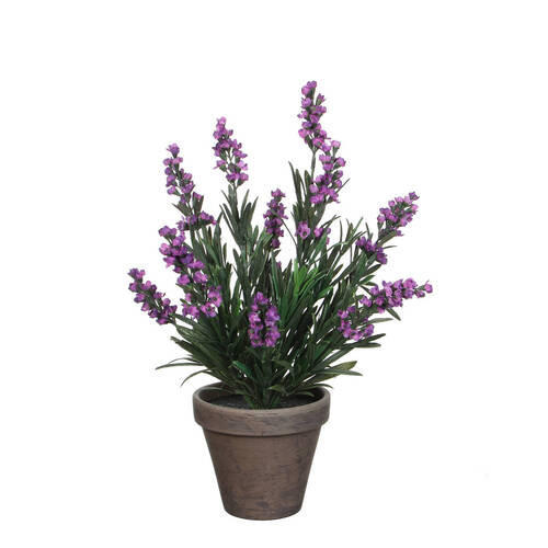 LAVANDA - lila, Osnovno, plastika (20/33cm)
