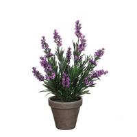 LAVANDA - lila, Osnovno, plastika (20/33cm)