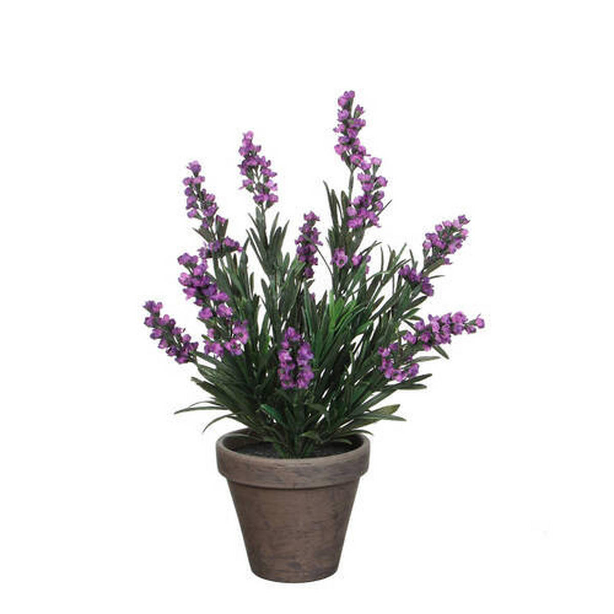 LAVANDA - lila, Osnovno, plastika (20/33cm)
