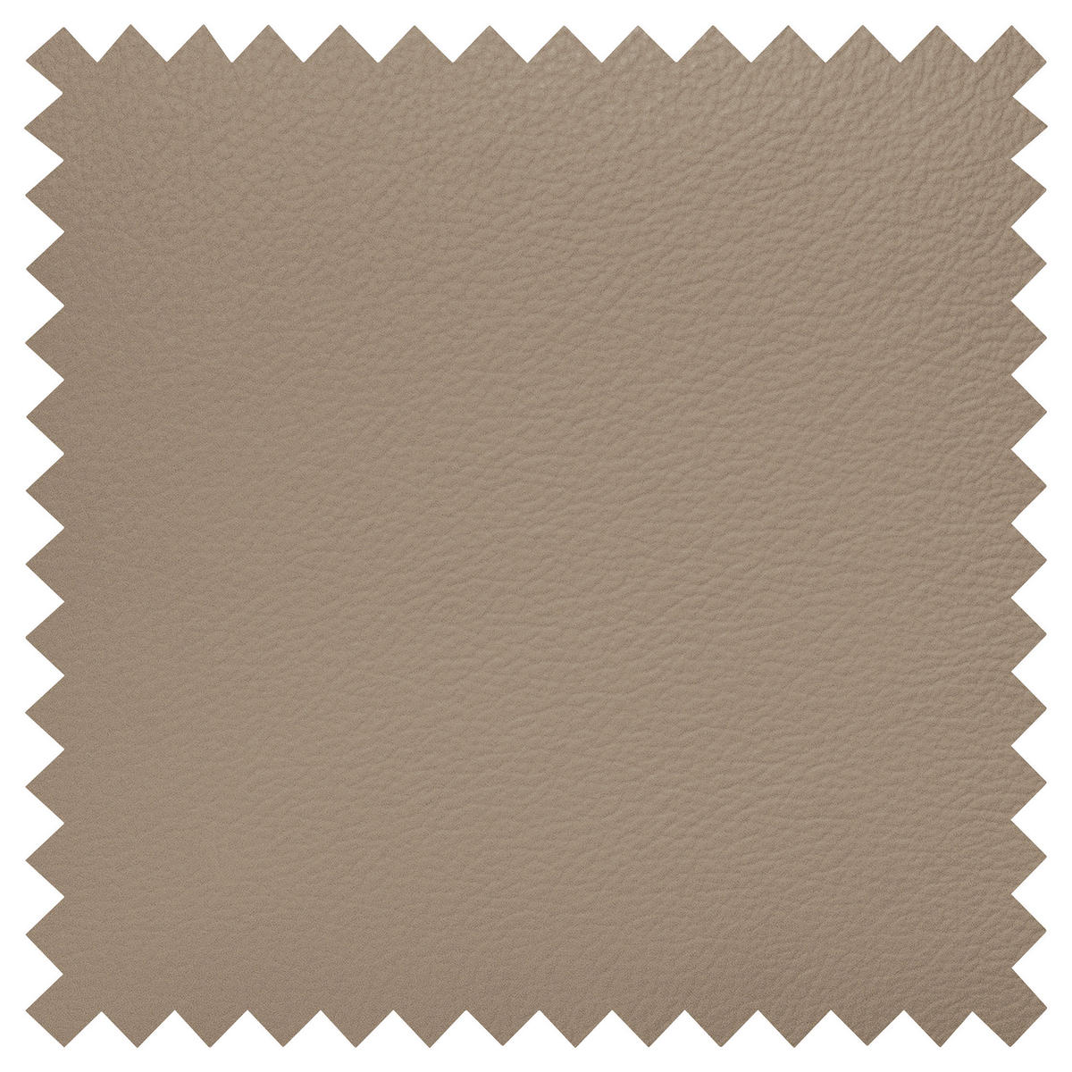 COLțAR textil, piele sahara  - sahara/culoare crom, Design, metal/textil (241/168cm) - Livetastic