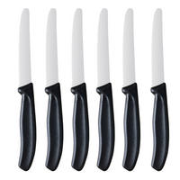 SET DE CUțITE 6 piese  - culoare inox/negru, Basics, plastic/metal (21,5cm) - Boxxx