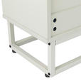 LOWBOARD  in 160/56/30 cm  - Kaschmir, Design, Holzwerkstoff/Metall (160/56/30cm) - Xora