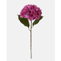 MŰNÖVÉNY - barna/ibolya, Basics, műanyag