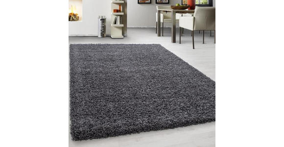 HOCHFLORTEPPICH 60/110 cm Life 1500 Grau - Grau, KONVENTIONELL, Textil (60/110cm) - Novel