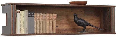 WANDREGAL Grau, Pinienfarben  - Grau/Pinienfarben, KONVENTIONELL, Holzwerkstoff (113/29/23cm) - Hom`in