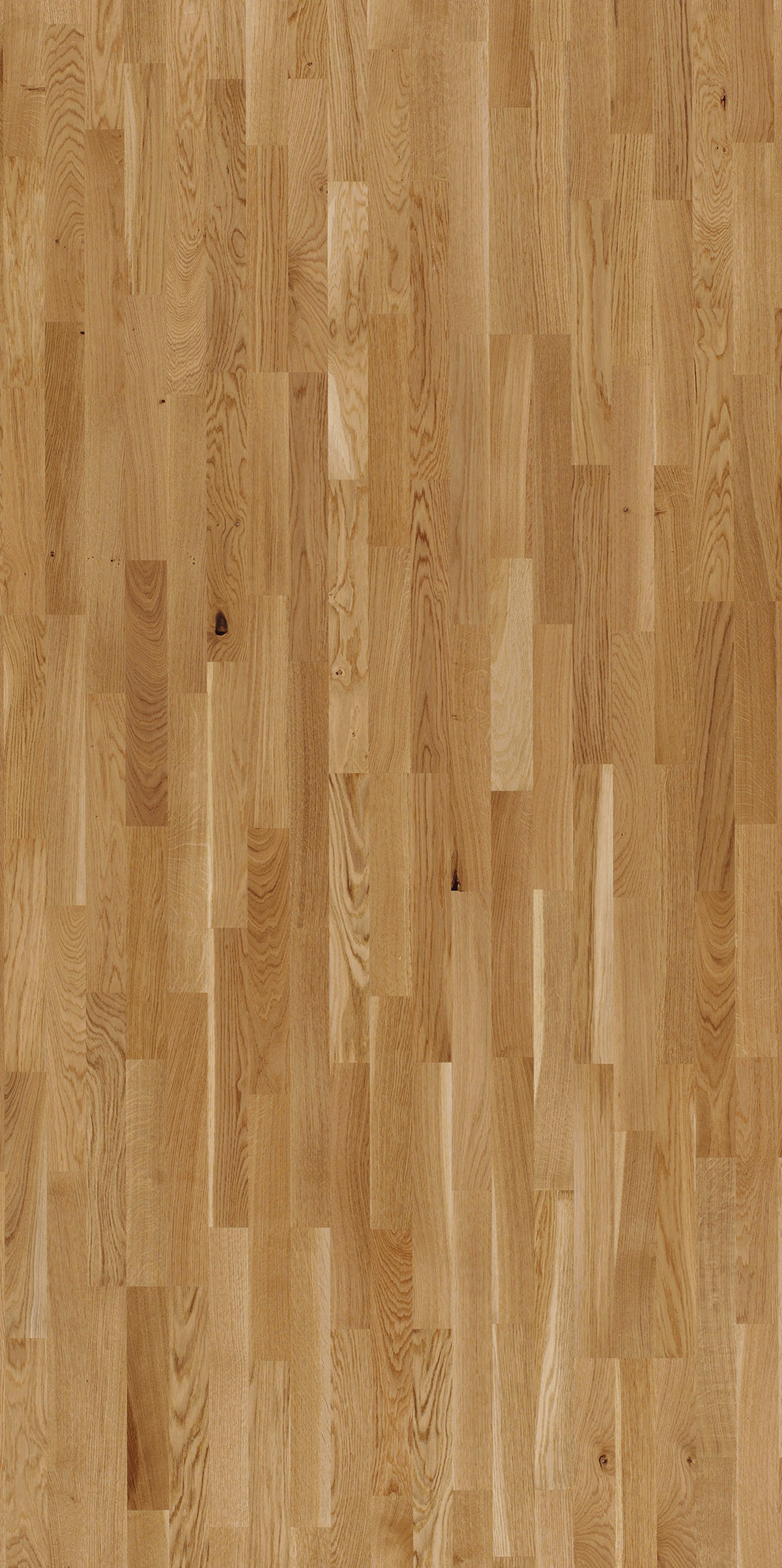 PARKETTBODEN BASIC 11-5 1569685  per  m² - Hellbraun, LIFESTYLE, Holz (220/18,5/1,15cm) - Parador