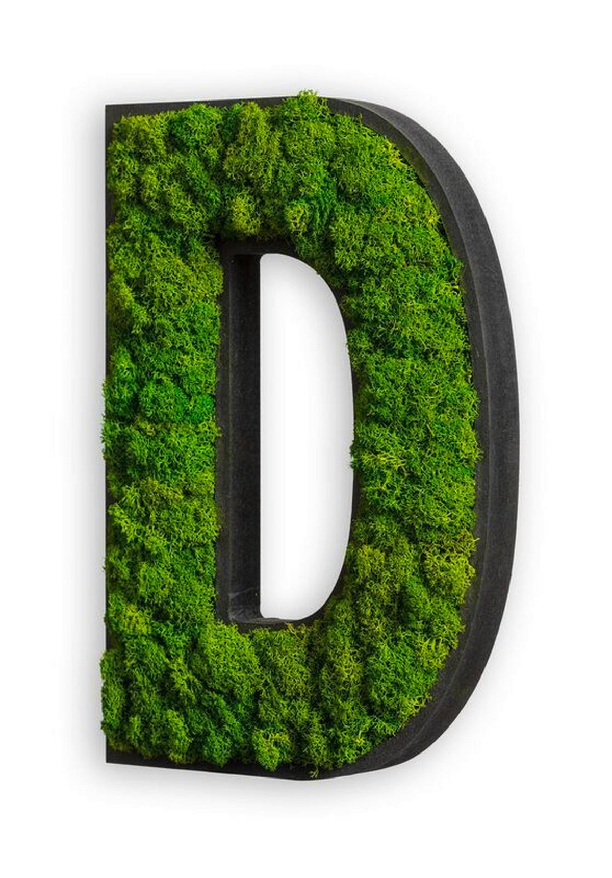 MOOSBILD Stylegreen  - Schwarz/Grün, Basics, Naturmaterialien/Holz (25cm)