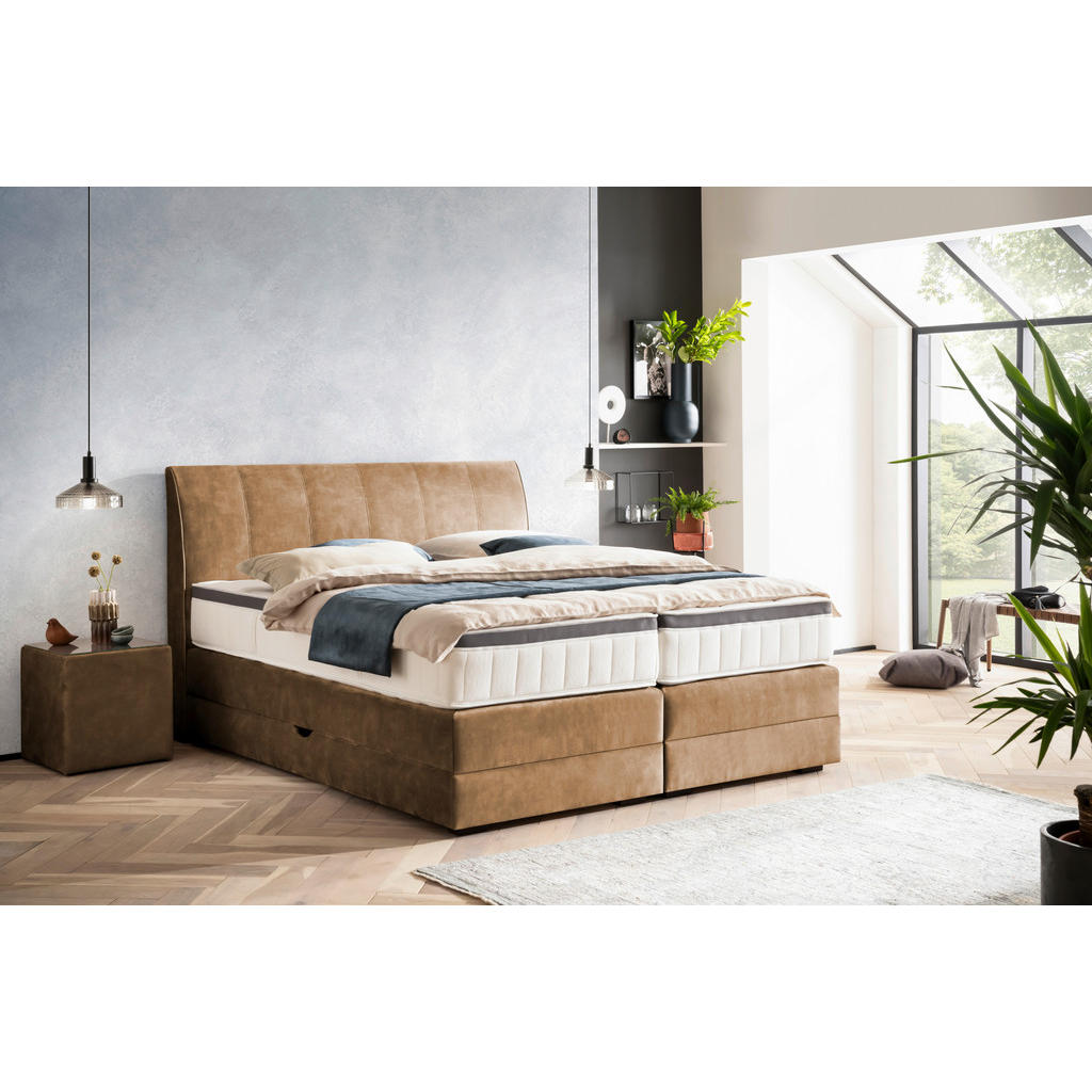 Thumbnail - Novel Boxspringbett, Gold, Textil, Wenge, H2 + H4, 7-Zonen, Höhe ca. 18 cm, 180x200 cm, Bettkasten, Federkernmatratze, S...