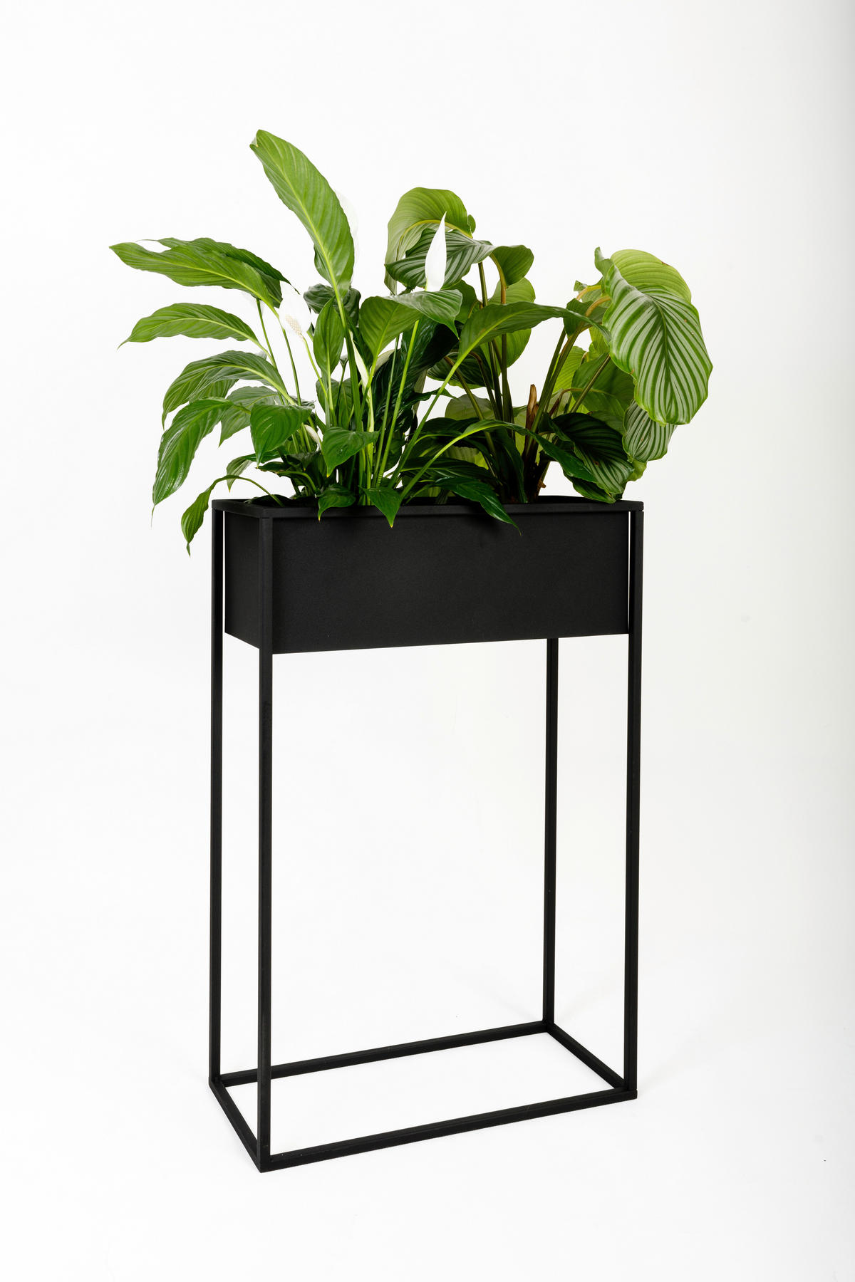 BLUMENSTÄNDER in Metall  - Schwarz, Basics, Metall (60/23/90cm)