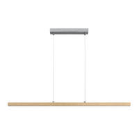 LED-HÄNGELEUCHTE 114 cm  - Eichefarben, LIFESTYLE, Holz/Kunststoff (114cm) - Novel