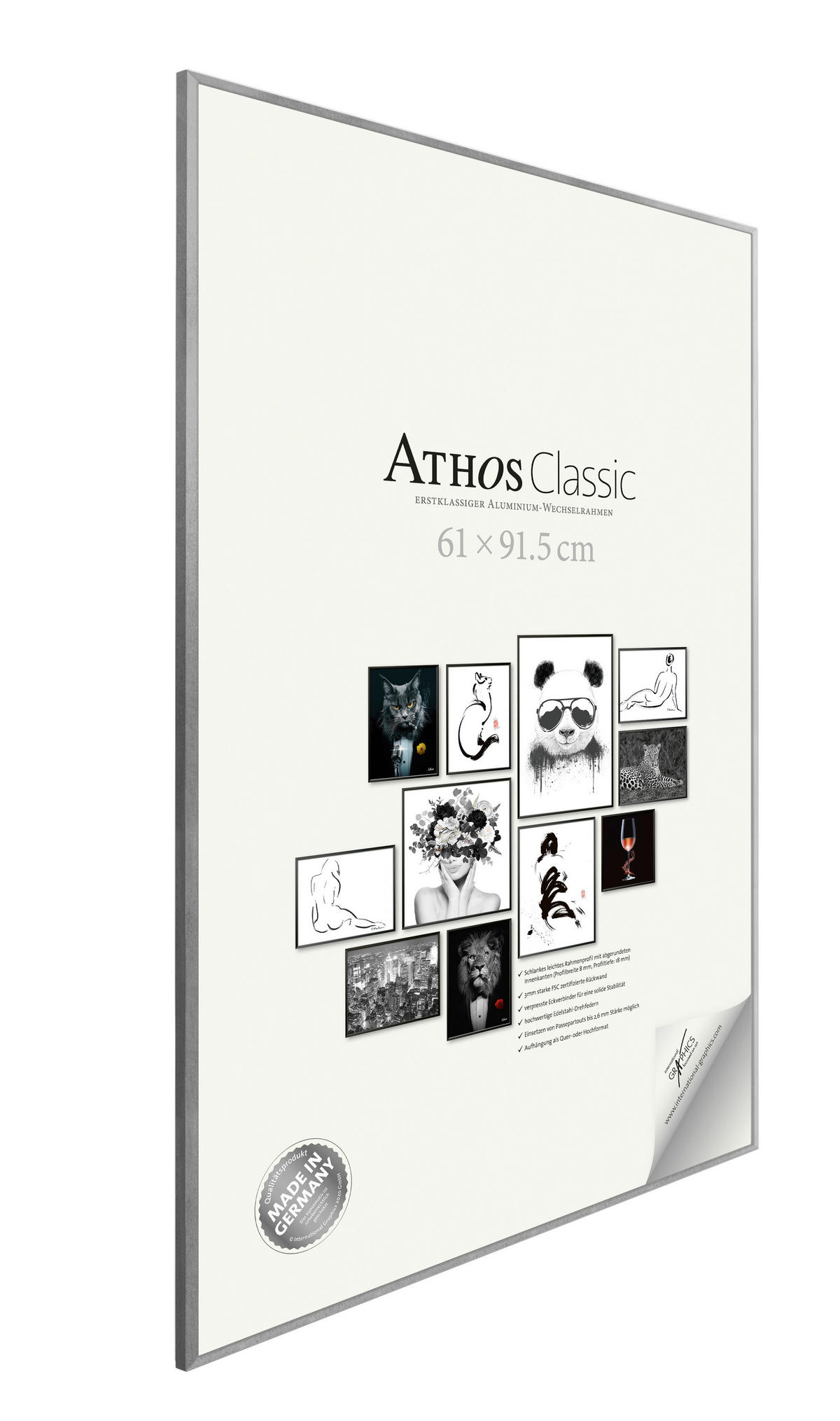 BILDERRAHMEN - Silberfarben, Basics, Papier/Holzwerkstoff (61/91,5/1,8cm)