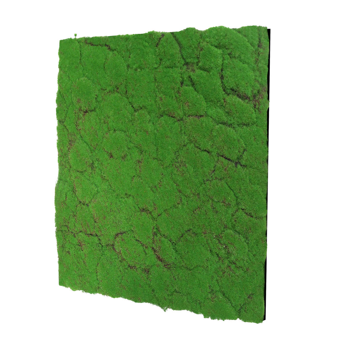 AKUSTIKPANEEL Modular Wall System Design Moos 52/52/2 cm  - Hellgrün, KONVENTIONELL, Kunststoff (52/52/2cm) - Jangal