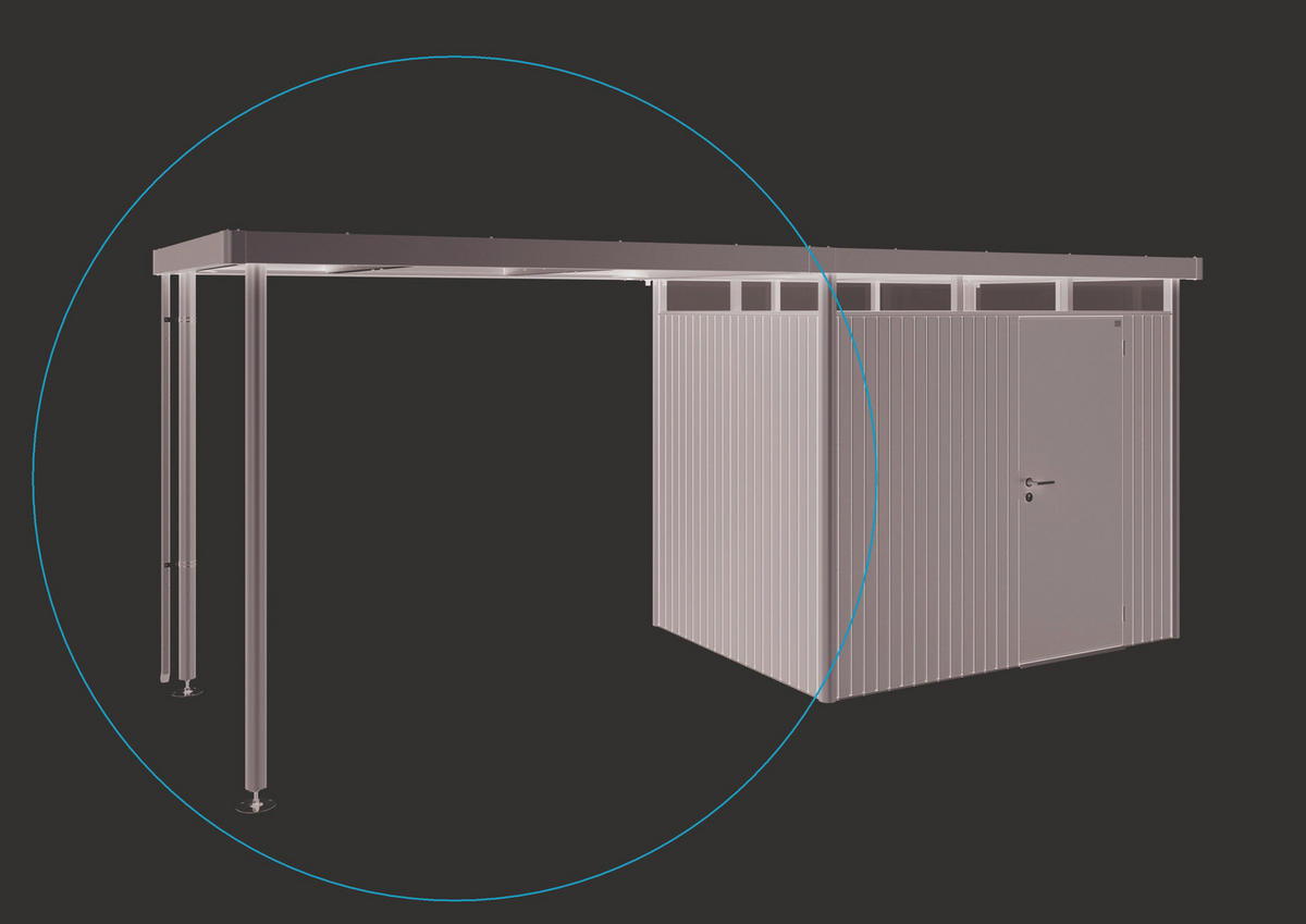 SEITENDACH 282/222/195 cm  - Grau, Design, Metall (282/222/195cm) - Biohort