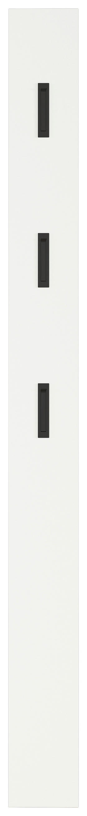 GARDEROBENPANEEL  in 15/170/3 cm  - Schwarz/Weiß, Basics, Holzwerkstoff (15/170/3cm)