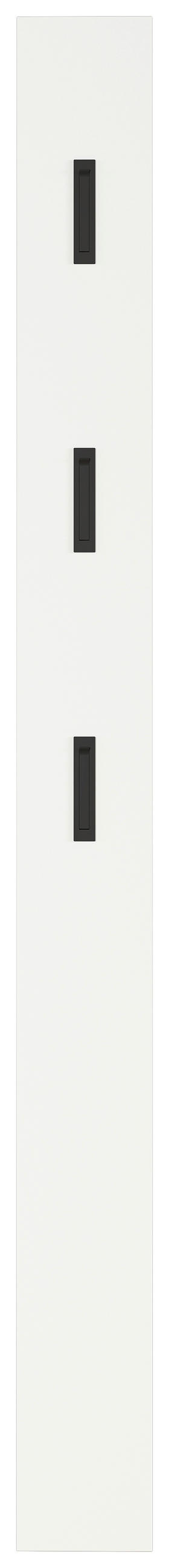 GARDEROBENPANEEL  in 15/170/3 cm  - Schwarz/Weiß, Basics, Holzwerkstoff (15/170/3cm)