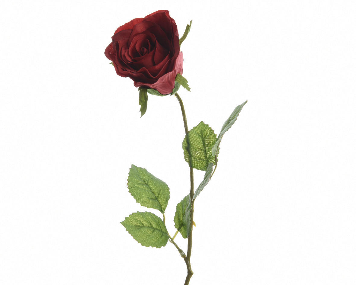 RŮŽE 45 cm - Basics (45cm)