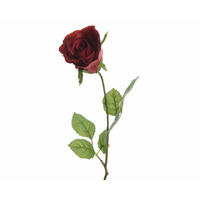 RŮŽE 45 cm - Basics (45cm)