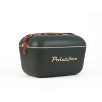 KÜHLBOX Dunkelgrün 20 L  - Dunkelgrün, Basics, Kunststoff (44,8/30,2/28,9cm) - Polarbox