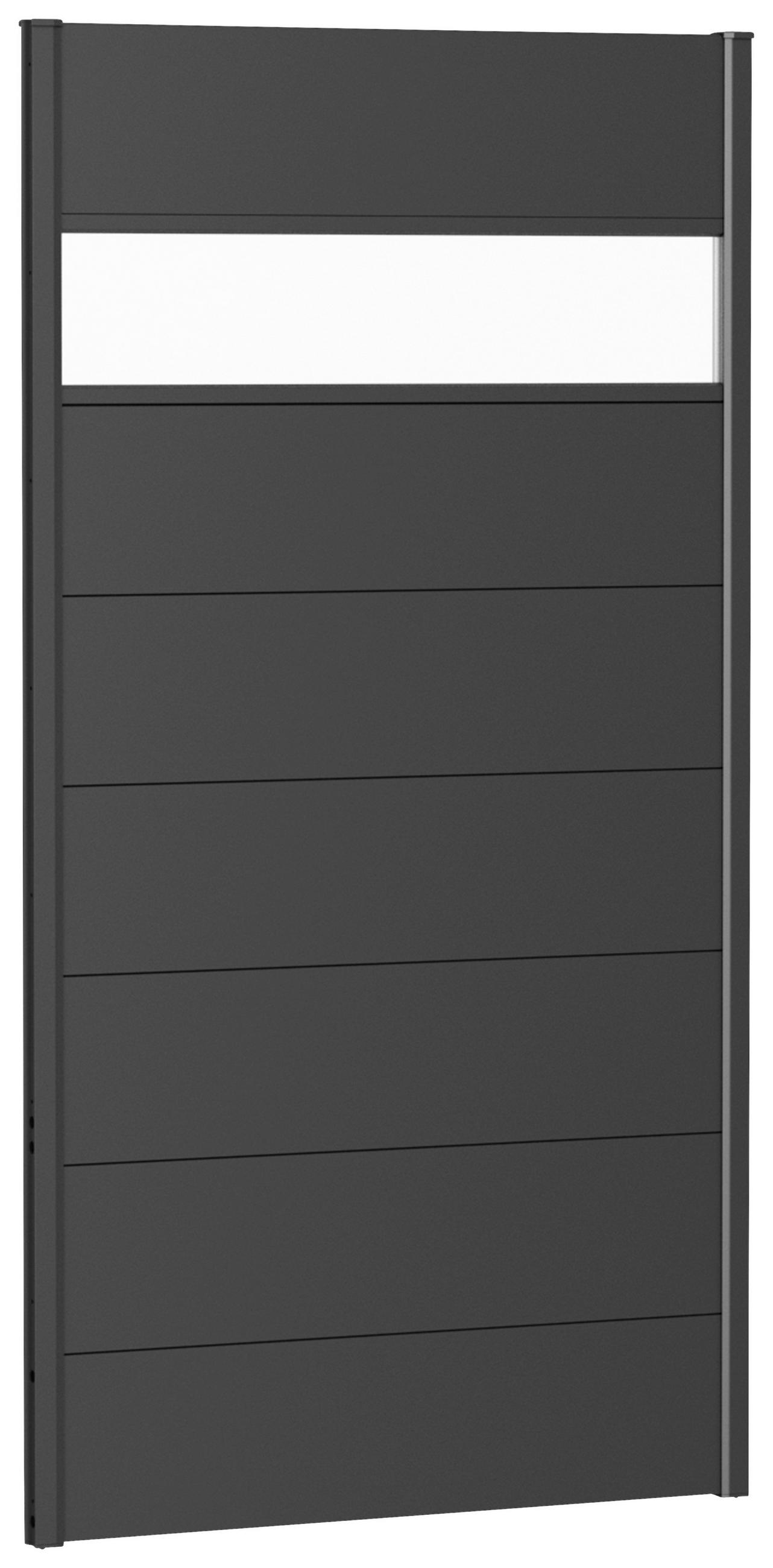 SICHTSCHUTZ  - Dunkelgrau, Basics, Kunststoff/Metall (96/182/4,4cm) - Biohort