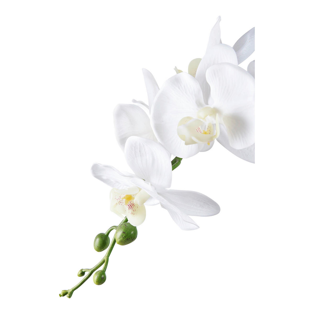KUNSTPFLANZE Orchidee  - Weiß, Design (21/47/34cm)