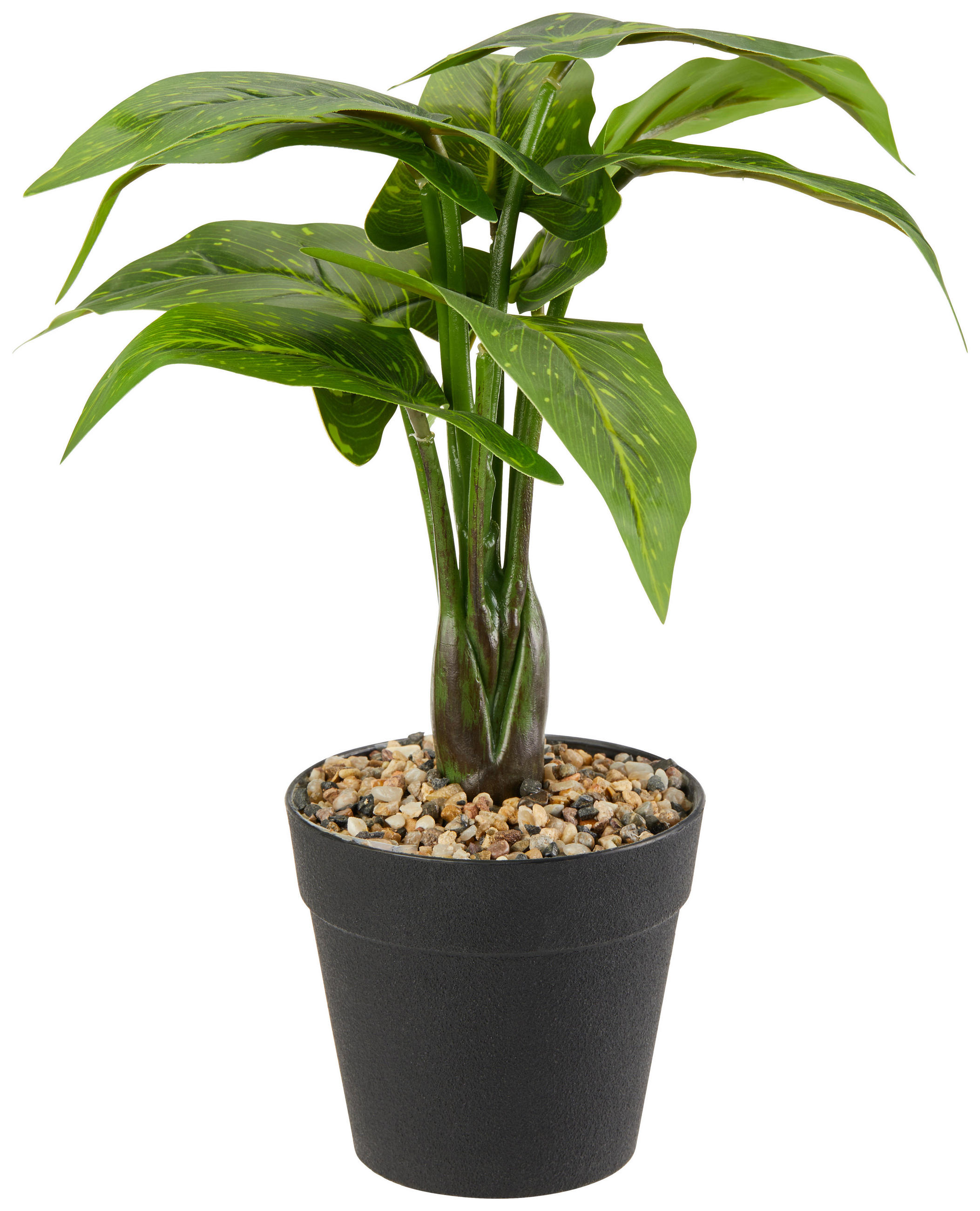 Kunstpflanze Dieffenbachia Grün/schwarz L: 30 Cm Mit Topf