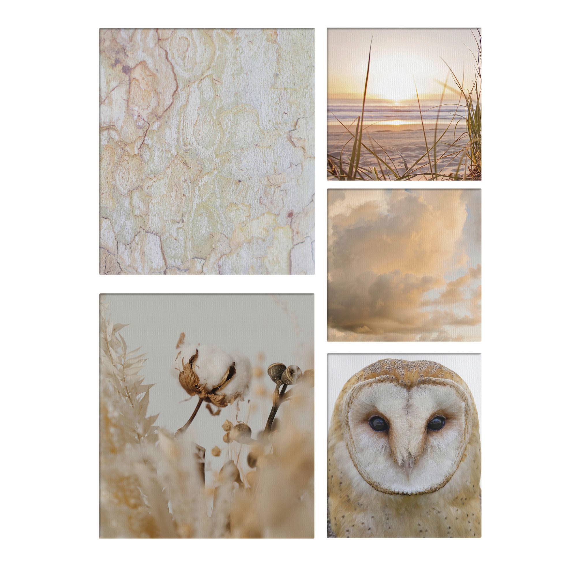 Xora Leinwandbild Natur 60x80x3 cm