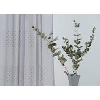 DRAPERIE CONFECȚIONATĂ transparent  - gri, Basics, textil (140/260cm)