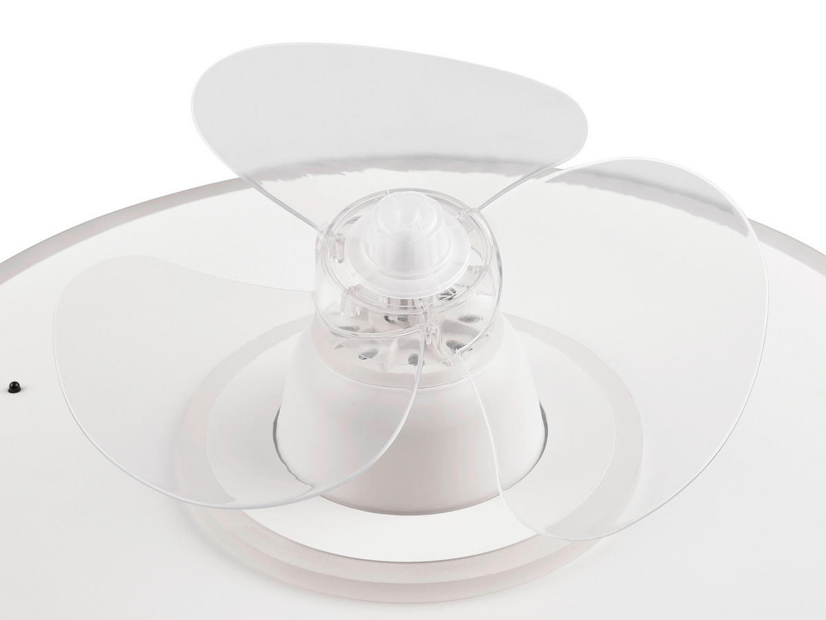 DECKENVENTILATOR  50/19 cm    - Weiss/Transparent, Konventionell, Kunststoff (50/19cm)