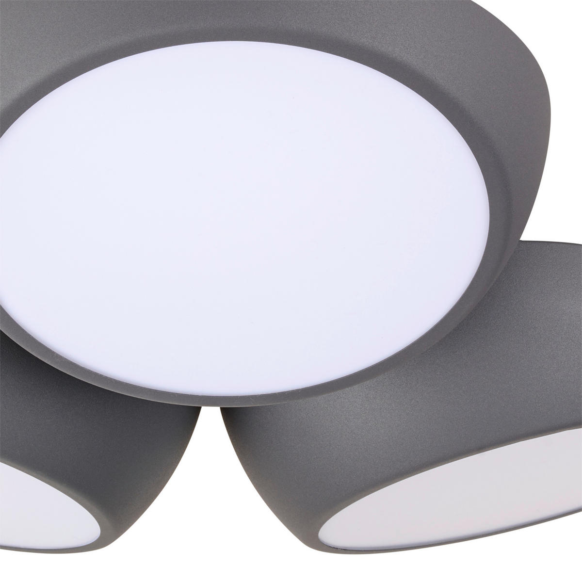 LED-DECKENLEUCHTE 24 W    52/48,5/12,5 cm  - Anthrazit, Lifestyle, Metall (52/48,5/12,5cm) - Novel