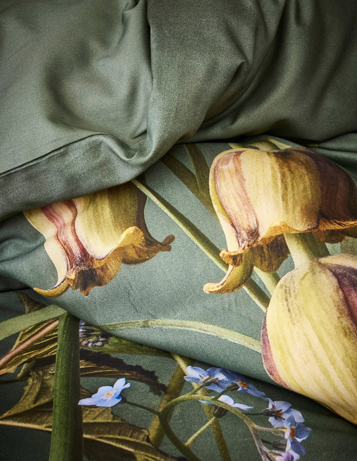 POSTELJNINA   200/200 cm       - zelena, Konvencionalno, tekstil (200/200cm) - Essenza