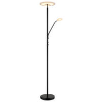 LED SVJETILJKA PODNA STANFORD  - prozirno/crna, Design, metal/plastika (30/180cm) - Globo