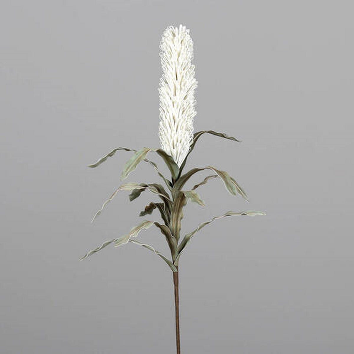 UKRASNA GRANČICA - braon/krem, Osnovno, plastika (84cm)
