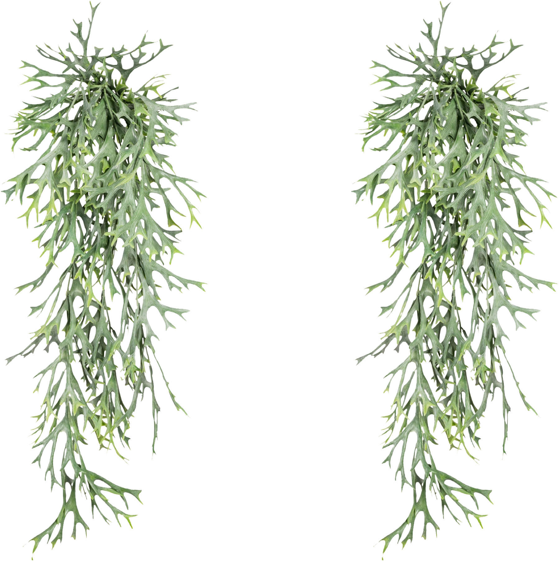 KUNSTPFLANZE Farn 75 cm  - Grün, Design, Kunststoff (75cm) - P & B