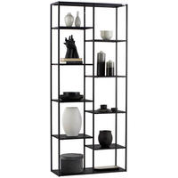 REGAL Schwarz  - Schwarz, Trend, Kunststoff/Metall (80/188/30cm) - Carryhome