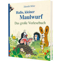 BUCH - Multicolor, Basics, Papier (23/20/1,8cm) - Carlsen