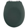 WC-SITZ Dunkelgrün  - Dunkelgrün, KONVENTIONELL, Kunststoff (37,3/5cm) - Spirella