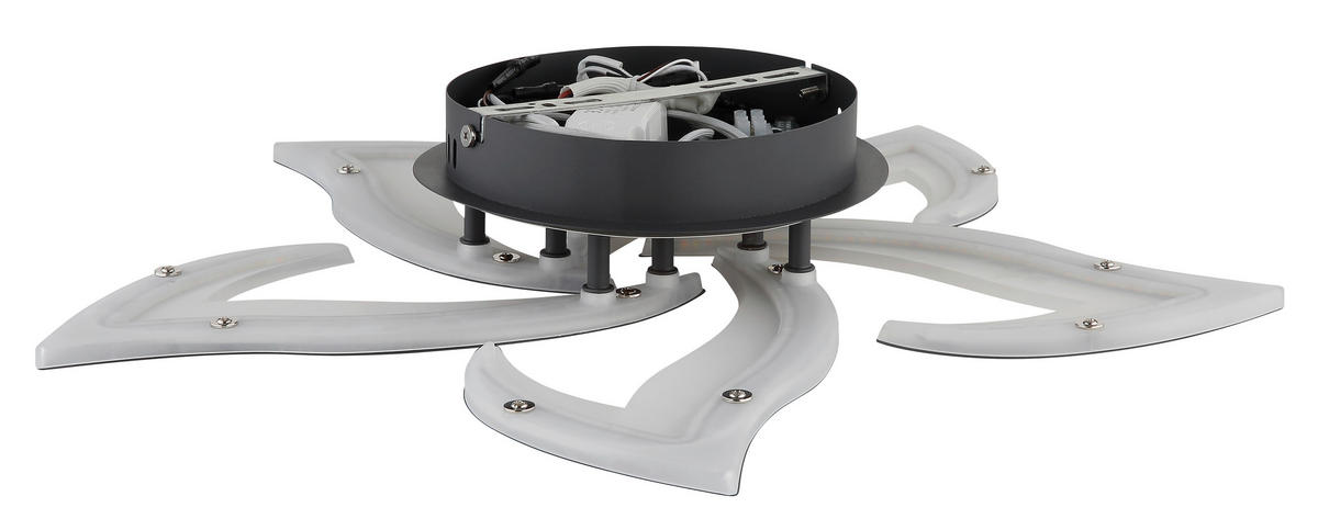 LED-DECKENLEUCHTE Lavonne 55/8,8 cm  - Opal/Schwarz, Design, Kunststoff/Metall (55/8,8cm) - Globo