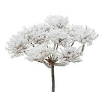 FLOARE DECORATIVĂ - Basics (22/15/75cm)