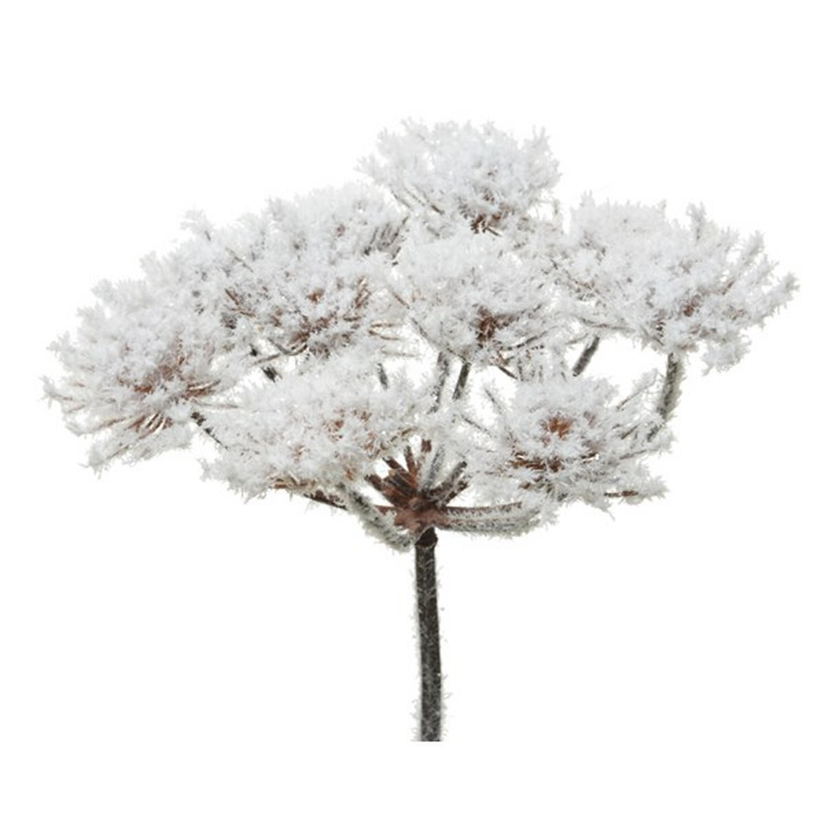 FLOARE DECORATIVĂ - Basics (22/15/75cm)