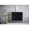 VITRINE in Schwarz  - Schwarz, Design, Glas/Metall (120/110/35cm) - Xora