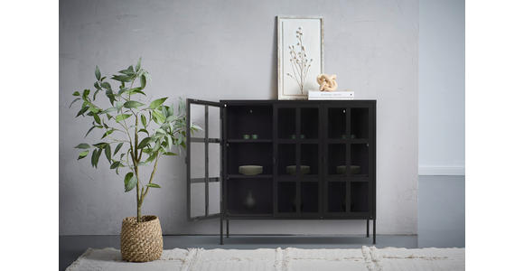 VITRINE in Schwarz - Schwarz, Design, Glas/Metall (120/110/35cm) - Xora