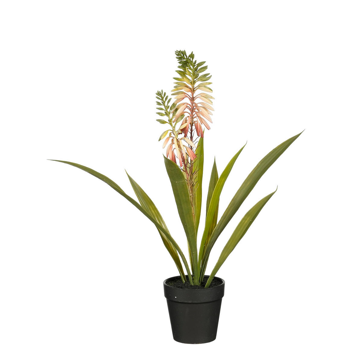 UMETNA RASTLINA - krem barve, Basics (30,5/43cm)