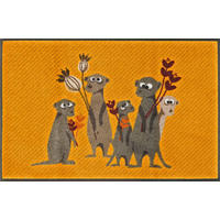 COVORAȘ DE INTRARE 50/75 cm  - galben închis, Konventionell, plastic/textil (50/75cm) - wash+dry